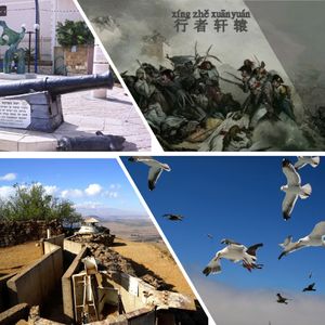 海鸥拿破仑18世纪末雅法古城的无妄之灾