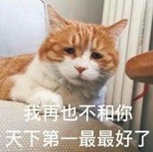 把伴侣当成最好的朋友，是一件好事吗？