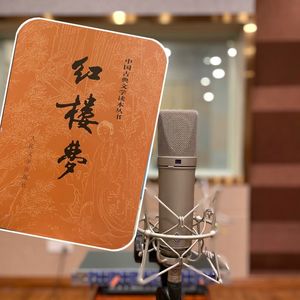 《红楼梦》:死活读不下去的名著?