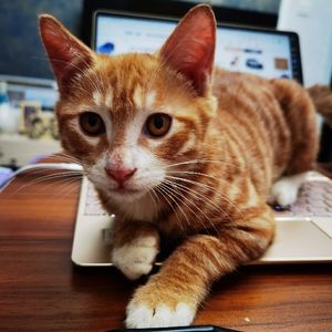 vol 121 十三“迷惑行为”大赏