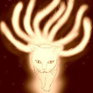 vol 29 九尾猫的“成全”