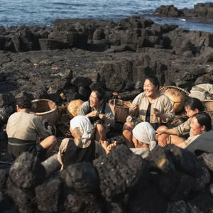 好剧推荐|《苦尽柑来遇见你》:勤劳善良真的能致富吗?