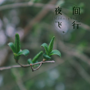 夜间观察⎜新春特辑:聊聊过去这一年
