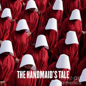 第106本书：玛格丽特·阿特伍德与《使女的故事》、《证言》