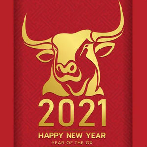 第67个故事:Happy牛year!珊越春晚陪您过大年!