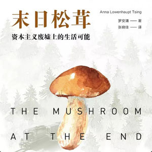 第104本书：罗安清与《末日松茸：资本主义废墟上的生活可能》