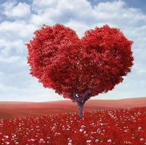 6.“爱”的修行