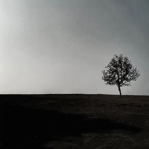 47.谈“人的孤独”（下）