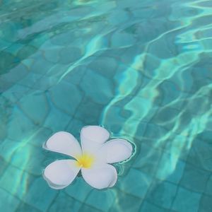 182.你有一个新朋友(请签收)