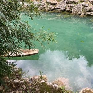 109.“人情世故”与“个人能力”究竟哪个重要？