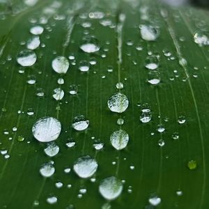 409.认知不同的人如何相处？