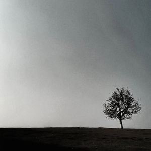 46. 谈“人的孤独”（上）