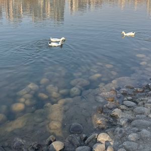 171.国人“勤劳”吗？