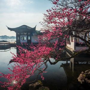 76.明朝冷知识之“衣冠禽兽”