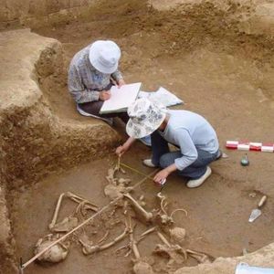 123.神秘的夏朝——之“夏朝”存在吗？