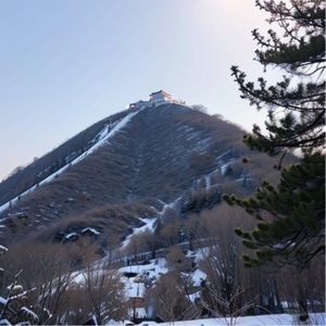 154.张雪峰的“文科服务业”言论引发争议，文科与前苏联关系