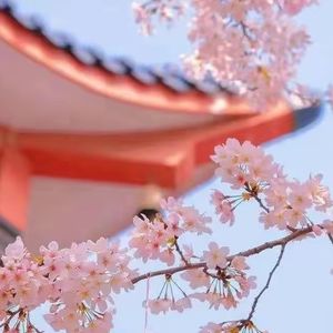 78.为什么90后、00后的年轻人成为了拜寺庙的主力？