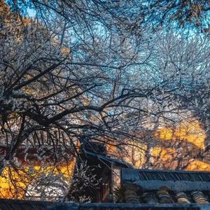 72.“涉毒艺人”应该被原谅吗？