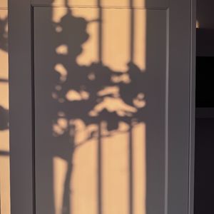 杀死抑郁，千千万万遍救自己于水火之中