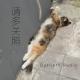 请多关照#17：猛暑猫夏闹子夜