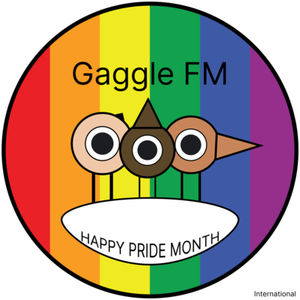 EP22 Happy Pride Month 非必要偷摸骄傲的国内外骄傲节随意聊聊～