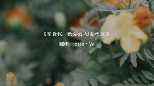 歌剧《沂蒙山》 海棠唱段