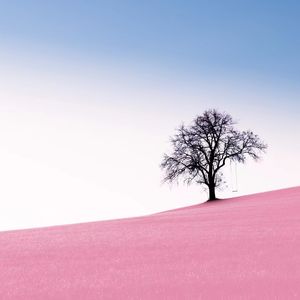 “通胀”怪兽已出笼，我们能独善其身，还想继续躺平？