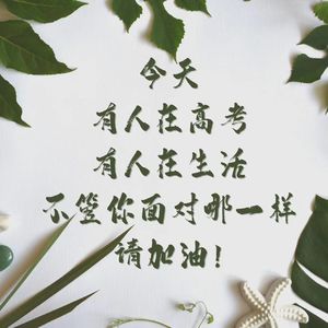 高考之我见——从985211说开去