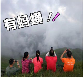 蚂蟥一直往脚上爬是一种什么样的体验？