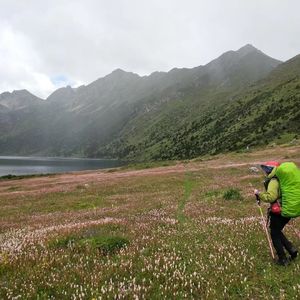 格聂神山转山D3:仙境一样的哈日翁青措高反到吐了