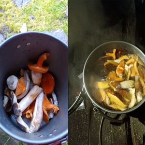 郭喀啦念久——采了五颜六色的蘑菇吃