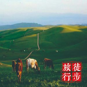 新疆旅行D7：依依不舍的喀拉峻草原