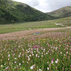 格聂神山转山D7：下雨一直绕沼泽，烤火聊妹子结果把袜子烧焦了