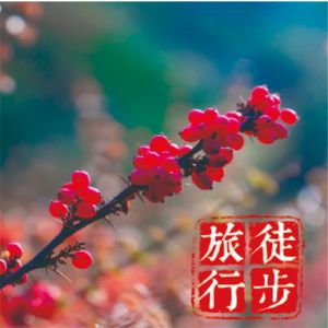 牛背山变“牛贵山”你还会去吗？