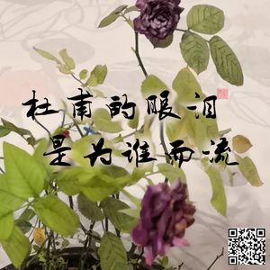 009 杜甫的眼泪是为谁而流 |《登岳阳楼》中的告别与分割
