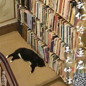 003 我们除了适应别无他法 |《书店日记》面对内卷要躺平吗？另辟蹊径才能摆脱困窘