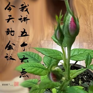 019年度总结：时间留下来的问题…今天的会议，我讲五大点