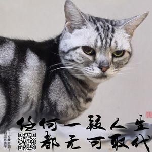 008 任何一段人生都无可取代 |《五十岁我辞职了》公司是修行的场所而非依赖之处