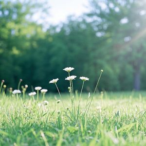 391、警惕失势企业的 “价值陷阱”