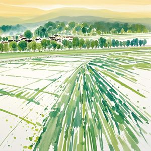 中国资本市场的光荣与梦想（2025.7.14）