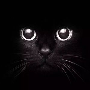 376、聊一聊投资中的成本幻觉