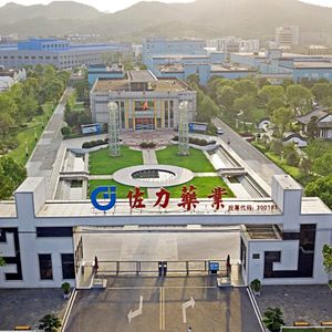 426、读佐力药业2024年度报告