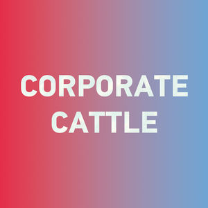 Special: How to say "corporate cattle 牛马" in Chinese?