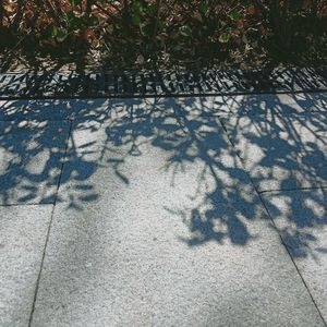 College education—what for?