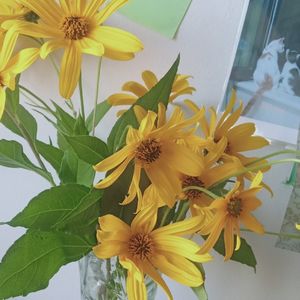 You are what you eat, you become what you read