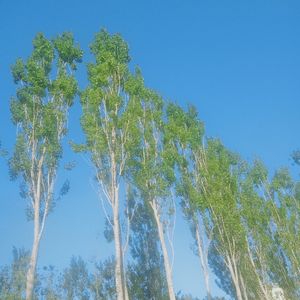 A Casual Talk in the morning