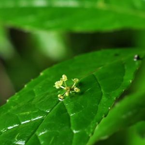 风，偷走了我们的浆桨，，顾城的诗