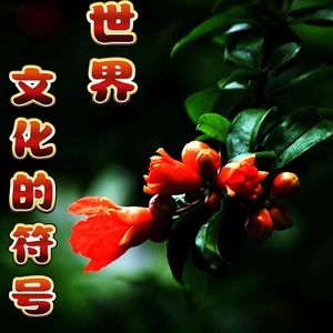 91 石榴，世界共有的文化符号