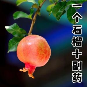 90 一个石榴十服药，秋季养生黄金果