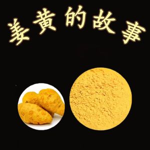 99 生命香料~姜黄的故事